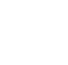 flower3